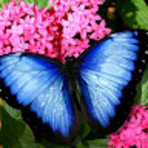 Meet your Posher, Colleen